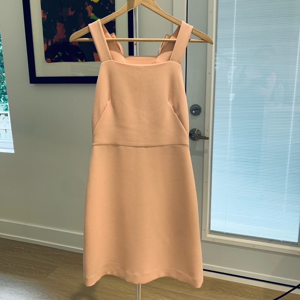 Club Monaco Peach Fuzz Mini dress with bow details